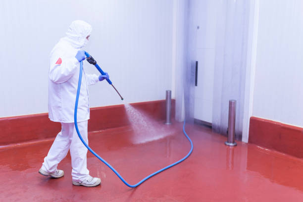 Pre-Holiday Cleaning in Pennington, NJ